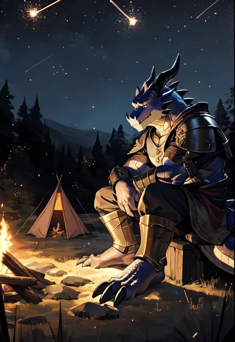 solo, kemono, (dragon), anthro, male, ((black body)), scales, tail, muscles, handsome, armor, medieval, fantasy, outdoors, outside, dark, night, forest, campfire, camp, stars, sitting, toe claws, epic, depth of field, perfect lighting, (light particles),(b...