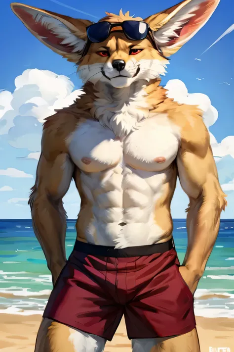 (solo, furry, anthro, hyper realistic, realistic fur), male, front view, muscular body, Fennec, smug, smirk, head tilted, bending down, wearing (((dark red colored))) boxer shorts, black sunglasses on head, standing upright, legs wide apart, beach, blurred...