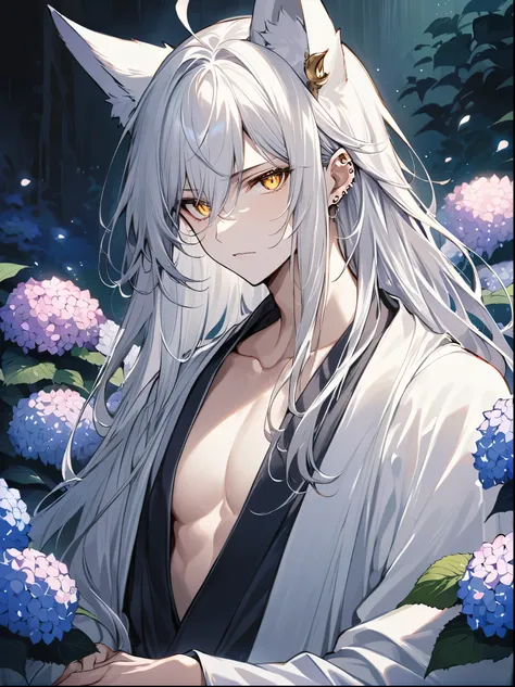 ((Best quality)), ((masterpiece)), (detailed), ((perfect face))、miyabi,a man, Long, flowing silver hair with delicate strands.
Sharp, piercing golden eyes. Fox ears on top of his head.
Serious and slightly mysterious.Pale and smooth.
Wears a robe that is s...