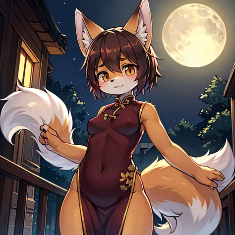   Female  skinny flat Fox wearing Chinese dress in the moonlight 