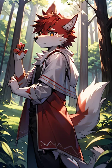 A young wolf beast in red and white，Standing in the maple forest