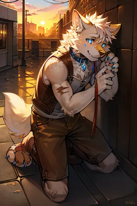 High Picture Quality, Golden Hour, Sunset, Urban Scene, Concrete Path, Lone Figure, Canine with Human Form, White Fur, Crystal Blue Eyes, Golden Nose, White Claws, Healed Scar on Muzzle, Details on Paw Pads: 1.2, Distinct Freckles: 1.3, Tattered Blue Colla...