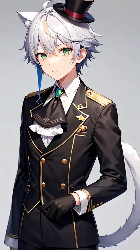 cat boy, cat ear, cat tail, cat eyes, silk hat,
1boy, Emerald green eyes, Silver hair, white hair, streaked hair, gloves, top hat, white gloves, blue headwear, ahoge, black gloves, long sleeves, ascot, jewelry, brooch, black headwear, frills, white hair, ...