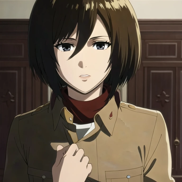 Mikasa Ackerman Waifu