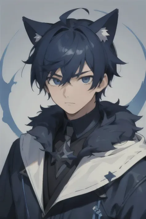 1 boy, who, dark blue hair, animal ears, masterpiece, ultra detailed