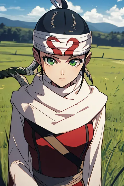 masterpiece, Highest quality,One girl, Church, Black Hair, Braiding, ponytail, Green Eyes, Holding a sword, head band, scarf, whole body, action, alone, View your viewers, Grass, blue sky, Grass background,