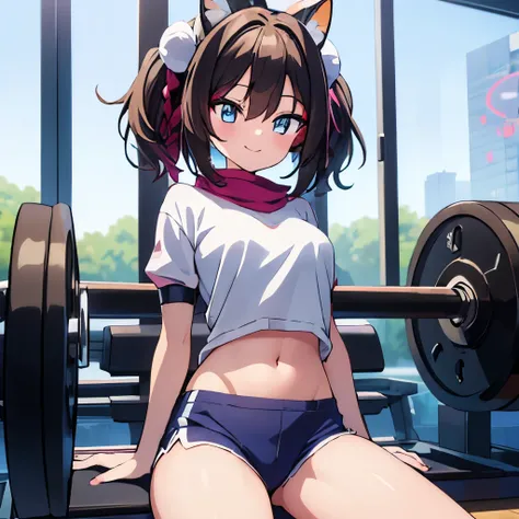 ((masterpiece)), ((best quality)), (ultra-detailed), anime style, a cute girl, 1girl, solo, gym shorts00, ((beautiful eyes)), smile