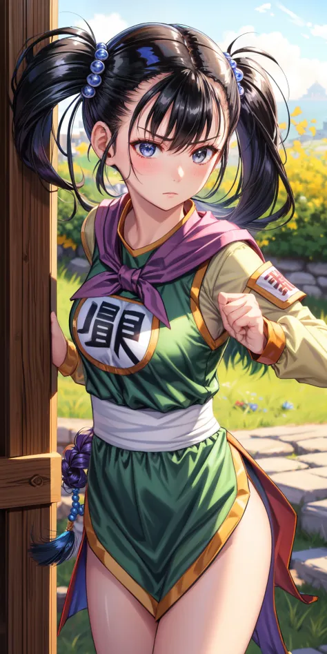 masterpiece, best quality, 4k, 8k, fighter (dq3), 1girl, solo, long hair, twintails, looking at viewer, black hair, hair ornament, long sleeves, dress, medium breasts, closed mouth, cowboy shot, black eyes, chinese clothes, hair bobbles, clenched hand, Pun...