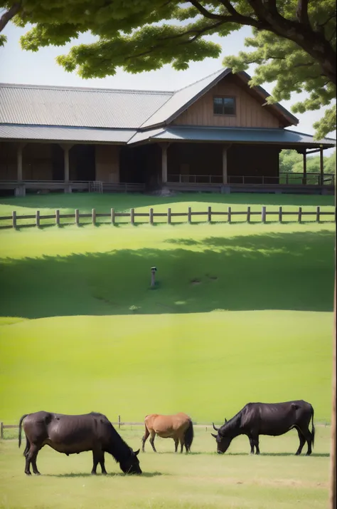 Tottori Wagyu Beef Farm, a serene and picturesque location, filled with lush green pastures and vast open spaces. The farm is renowned for its high-quality Wagyu cattle, with the Tottori strain being particularly famous for itsMarbled texture and rich, but...