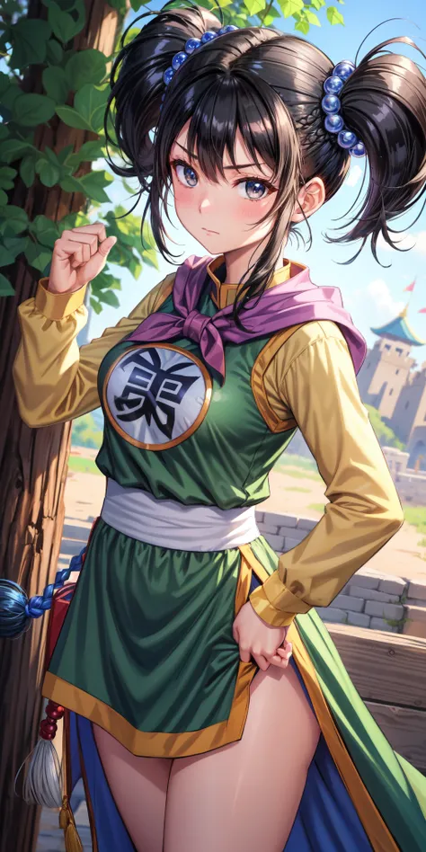 masterpiece, best quality, 4k, 8k, fighter (dq3), 1girl, solo, long hair, twintails, looking at viewer, black hair, hair ornament, long sleeves, dress, medium breasts, closed mouth, cowboy shot, black eyes, chinese clothes, hair bobbles, clenched hand, Pun...