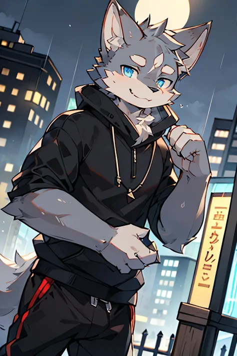 Exquisite lines，best quality。Strong body，male，Gray fur,grey ears,Black sweatshirt and trousers, City community entrance background at night,To the sky,Smile,Happy Mood,In the rain，blue eyes，Wolf Orc