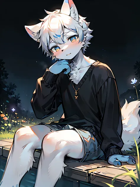 masterpiece, best quality, bright eyes, delicate eyes, , prairie wolf, men, casual wear，blue and white skin，white hair，black hig...