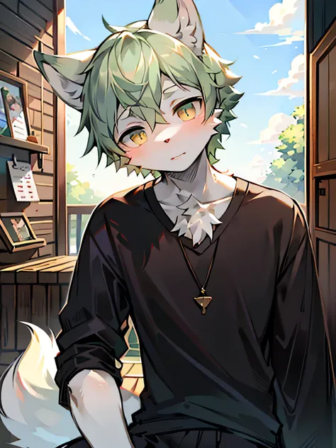 masterpiece, best quality, bright eyes, delicate eyes, prairie wolf, men, casual wear，white skin，green hair，black highlights，(he...