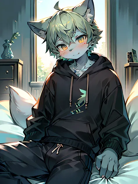 masterpiece, best quality, bright eyes, delicate eyes, prairie wolf, men, hoodies，blue skin，green hair，black highlights，(head ti...