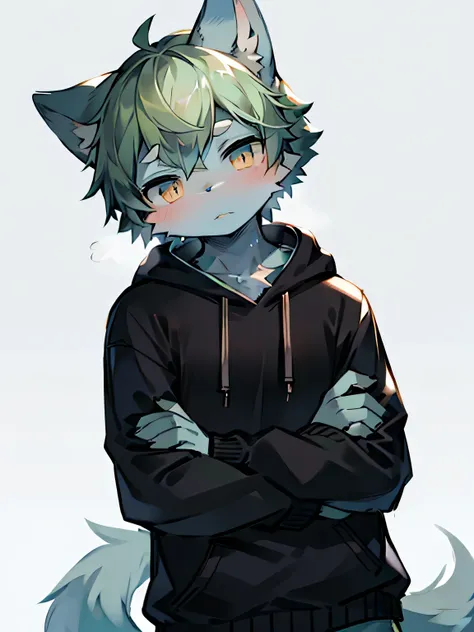 masterpiece, best quality, bright eyes, delicate eyes, prairie wolf, men, hoodies，blue skin，green hair，black highlights，(head ti...