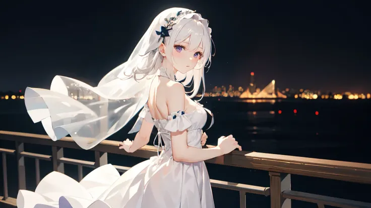 night、Wearing a pure white dress、A beautiful girl with white hair and a white veil、Violet eyes staring out at the coast with the city in the distance。