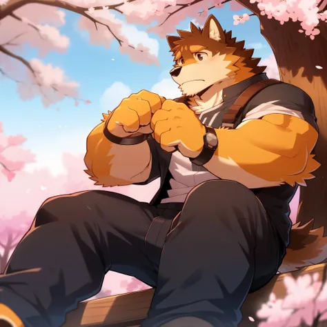 scribble 柴dog face,cute face,humanity(dog),(casual wear:1.3),muscular,(brown eyebrows:1.1),(perfect black eyes),（artist:takemoto...