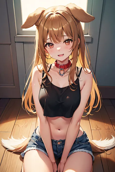 cute dog girl, ((dog collar)), ((dog ears)), ((wagging dog tail)), very excited expression, sitting on the floor inside a cozy room (dynamic lighting), playful pose, wearing revealing jean shorts, see-through crop top (loose), sweating, steamy atmosphere, ...