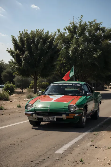 The car is in the colors of the Palestinian flag