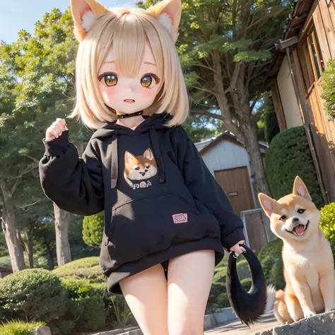 Shiba Inu girl rural scenery