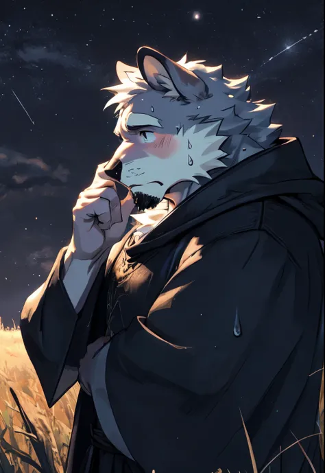 grassland、Starry Sky，night，Shy expression，sweat，emphasize eyes，Touch your head with one hand、Mature men、Gray fur、whole body、fantasy style