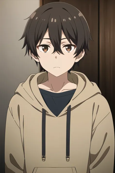 masterpiece, best quality, high quality, 1boy, solo, male focus, looking at viewer, upper body, mizuto_irido, brown eyes, brown hair, hair between eyes, pure black hoodie 