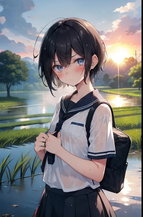 girl,high school girl,boyish,Black Hair,Bag,Very Short Hair,Summer uniform,mini skirt,Sweaty,Wet,Troubled face,blush,blue eyes,countryside,Paddy field,Serious face,sun,