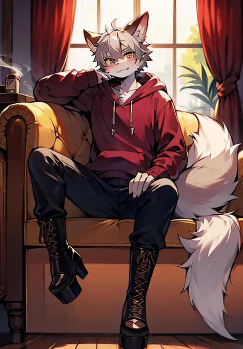 gray hair,alone,sitting,handsome face,whole body,beastman,fox,dragon,shota,dragon feather,hoodie,pants,lace-up long boots,platfo...