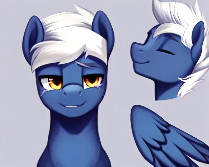 Male Pegasus pony, Has a flat facial expression, has a scar on his face, has a round face and a chin like a cute pony, white hair color, and dark blue fur, has his right wing replaced by a fake wing