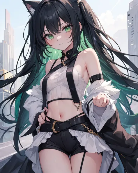  masterpiece, 2catgirl, cat ears, ((Black long hair with green reflexes)) , oversaturated green eyes, intricate cool dress. Bare shoulders, crop top, sexy Shorts. Portrait. Medium breast. Super detailed. Perfect anime green eyes, bare shoulders.
Shes on th...