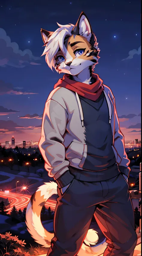 a complete body, Anthropomorphic adult cat wearing a sweatshirt, pants and a red scarf around the neck, beautiful face , posing for a photo on a hill at night with a city in the distance