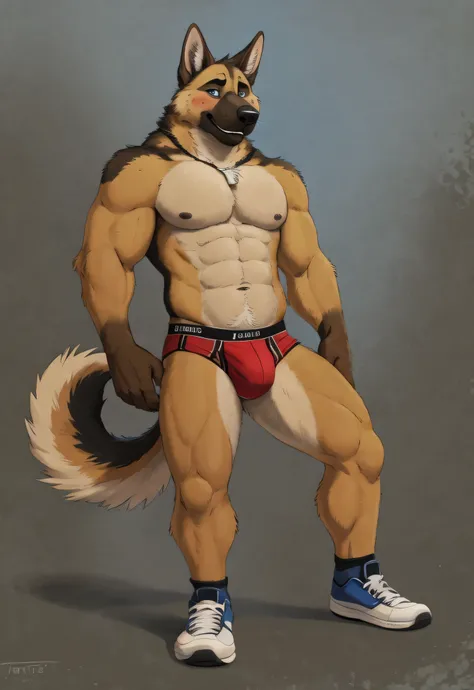 Anthro, solo, realistic, blush, anthropomorphic, abs, muscular 30 year old adult male furry German shepherd with tail, muscular body, tighty whities, underwear, plantigrade, shoes, abs, blue eyes, furry tail furry, tan and liver body fur, (flat colors:1.2)...