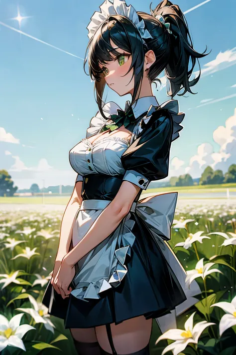 "anime girl, 1 person, black hair, short ponytail, sparkly green eyes, maid, maid, big breasts, solo, front view, Short/Medium Skirt, Chest Covered, White Flower Field, Facing Camera, Front View, Front View, Daylight, Blue Sky, Garter with no Stockings"