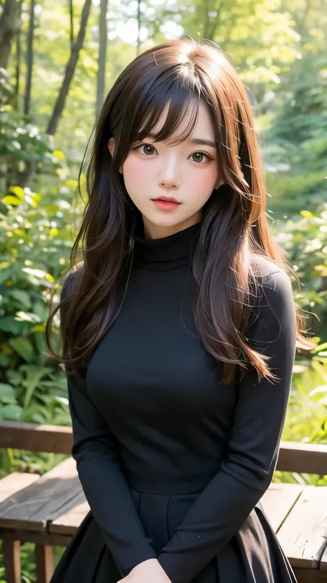 Highest quality、masterpiece、Ultra-high resolution、8k、Portrait、Film Grain、One Girl、Very delicate and beautiful girl、Cute Face、Very detailed、Brown Hair、Sidetail hairstyle、Gray eyes、No makeup、Small breasts、Smaller breasts、Shy:0.1、Black costume、BREAK、Outdoor、i...