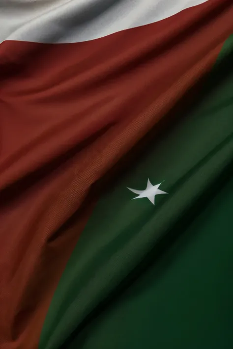 Blooded Bangladesh flag 