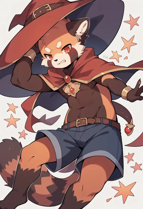 Red Panda Boy,Wizard