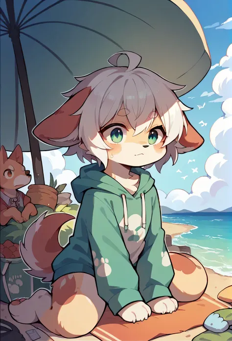 Chihuahua fur,white hair,)cry,Paw Clothes,hoodie clothes,dog,Wizard,Dropped ears,summer,Ocean,My name is Raiju