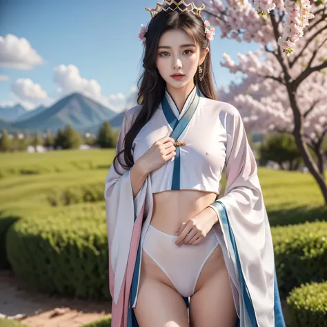 Blue sky and white clouds，Clouds and mountains in the distance、tower and many people，Pink flowers，Cherry tree，Hanfu woman,Phoenix Crown Crown、Fine embroidery、Wear Hanfu pantyhose、Hanfu、Wearing long-sleeved Hanfu、Transparent and clear、Look、Exposed oversized...