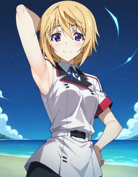 charl, def, uniform, high quality, 1girl, smile, solo, night sky, beach, arm behind head, hand on hip, (contrapposto), spread armpits, closed mouth,, looking at viewer, cowboy shot, blushing,