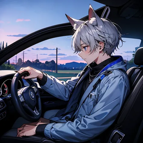 full body, (Highest quality), Highly detailed profile, 1 boy，Perfect Face,(Gray Hair:1.3)，(blue eyes:1.3), Fox ears, Midsummer、Car drive、countryside