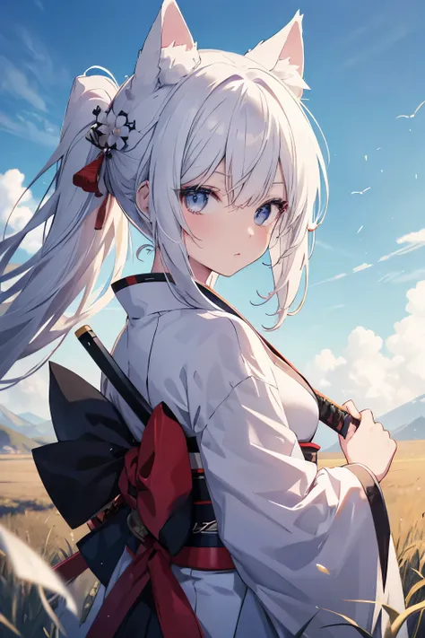 anime girl, white unruly hair, black eyes, battle-hardened, looking straight at you, kimono, sword on her back, looks at you full of hope, cat ears, blue sky open grass field background