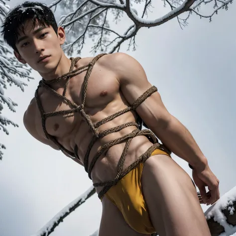  (((19 year old boy, very skinny, lvery ean, twink))), (((wearing gym speedos)))  kneeling, ((((Trussed up completely with rope)))), ((((very tight rope crossed over chest)))), (((very tight ropes crossed over   abs))). (((body in tight shibari ropes))) sw...