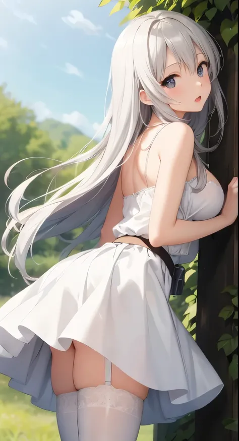 Big Breasts:1.2、、Highest quality、Very detailed、Highly realistic eye masterpiece、Highest quality、Very detailed、Gray Hair、Perfect Face、Long Hair、White Dress、Sundress、anime、countryside、Gutter Belt、White Stockings、{{{{{M-shaped legs}}}}}、nsfw、From the side、Sli...