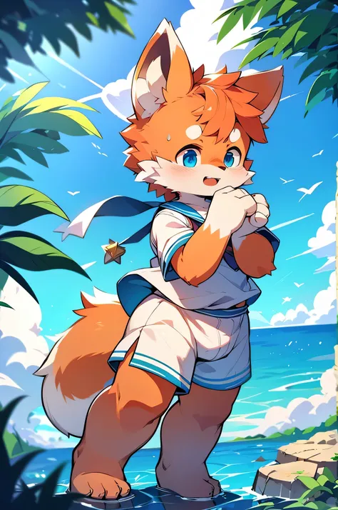 Very detailed,Ultra-high resolution,Horny boy always details,Ultra-high resolution,Horny boy,Fox,Sailor suit,Ocean,Like nature,