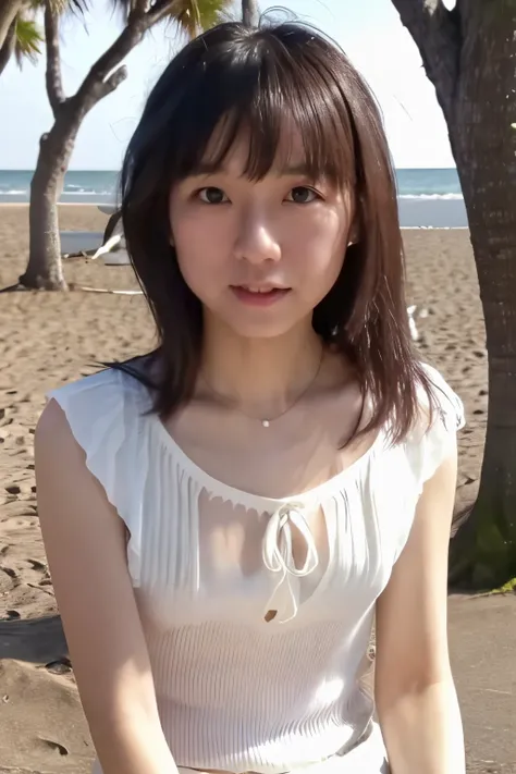 8k, highest quality, masterpiece, pornography, super high resolution, RAW Photos, One Girl, a skinny Japanese woman, 30 years old, thin waist, slender legs, sitting on the beach, a black hair, (wearing a white blouse next to the skin: 1.4), wearing a gray ...