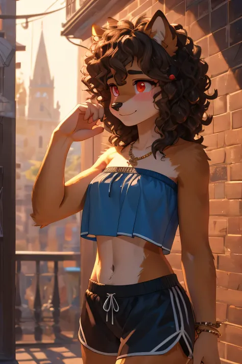 Mobian, Hedgehog, two-tone fur ((orange fur, brown fur)), elastic pajama shorts, strapless crop top, split, High sneakers, Two-tone hair (Brown hair, Black tip)), curly hair, halo, Sunglasses, Jewelry, Red eyes, long eyelashes, Red eyes, smile, shy, blush,...