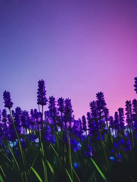 purple flowers in the dark, a macro photograph inspired by Elsa Bleda, tumblr, romanticism, dark purple blue tones, blue and purple, vibrant but dreary blue, purple and blue, dark flowers, blue and violet, night sky full of flowers, blue flowers, moody bea...