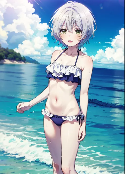 fuukakikuchi, fuuka kikuchi, short hair, bangs, Hair between the eyes, (Green Eyes:1.3), Grey Hair,smile,Open your mouth,Bikini swimsuit with ruffles,Wet Skin,Wet Hair,Wet swimsuit,barefoot,Water Play,Daytime,Clear skies,True Summer,whole bodyがイラストに入るように,
...