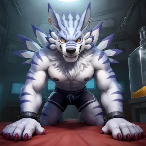 Weregarurumon, Digimon, werewolf, male, adult, alone, 4K, best quality, HD, looking at the audience, hairy body, furry tail, Topless, no equipment, bared chest, Hairy chest, black nipples, big nipples, anatomically correct, Delicate fur, soft shadow, majes...