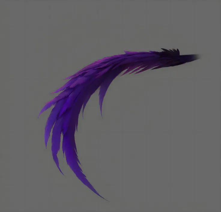 Purple and black feathers on grey background Purple feathers